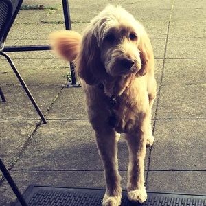 Meet your Posher, Rayna